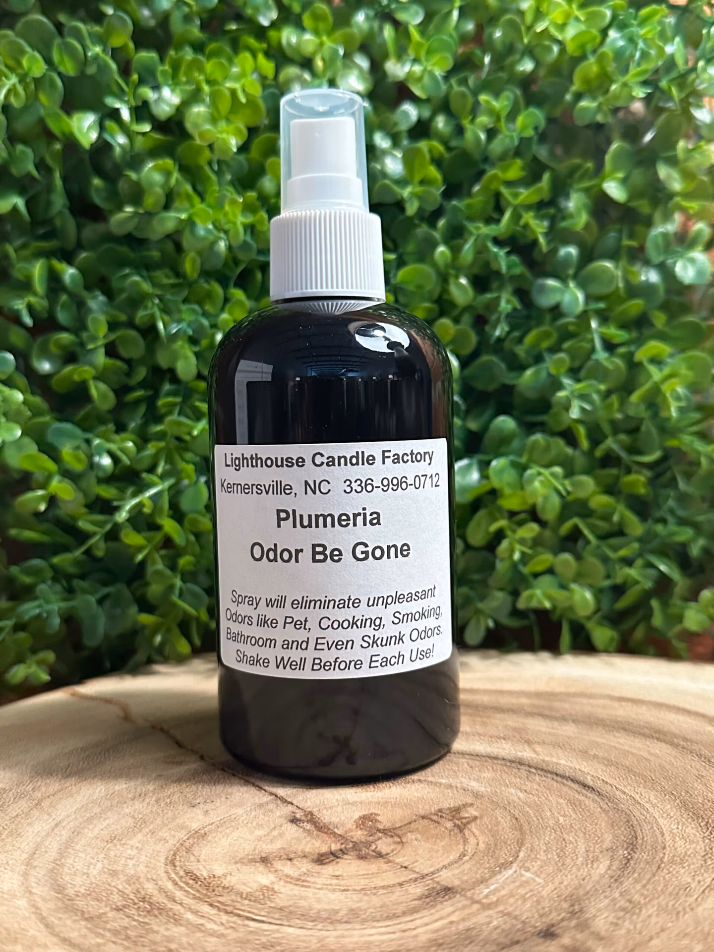 plumeria obg spray