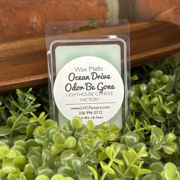 ocean drive obg melts front