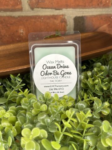ocean drive obg melts front