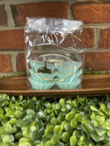 ocean drive odor be gone tarts