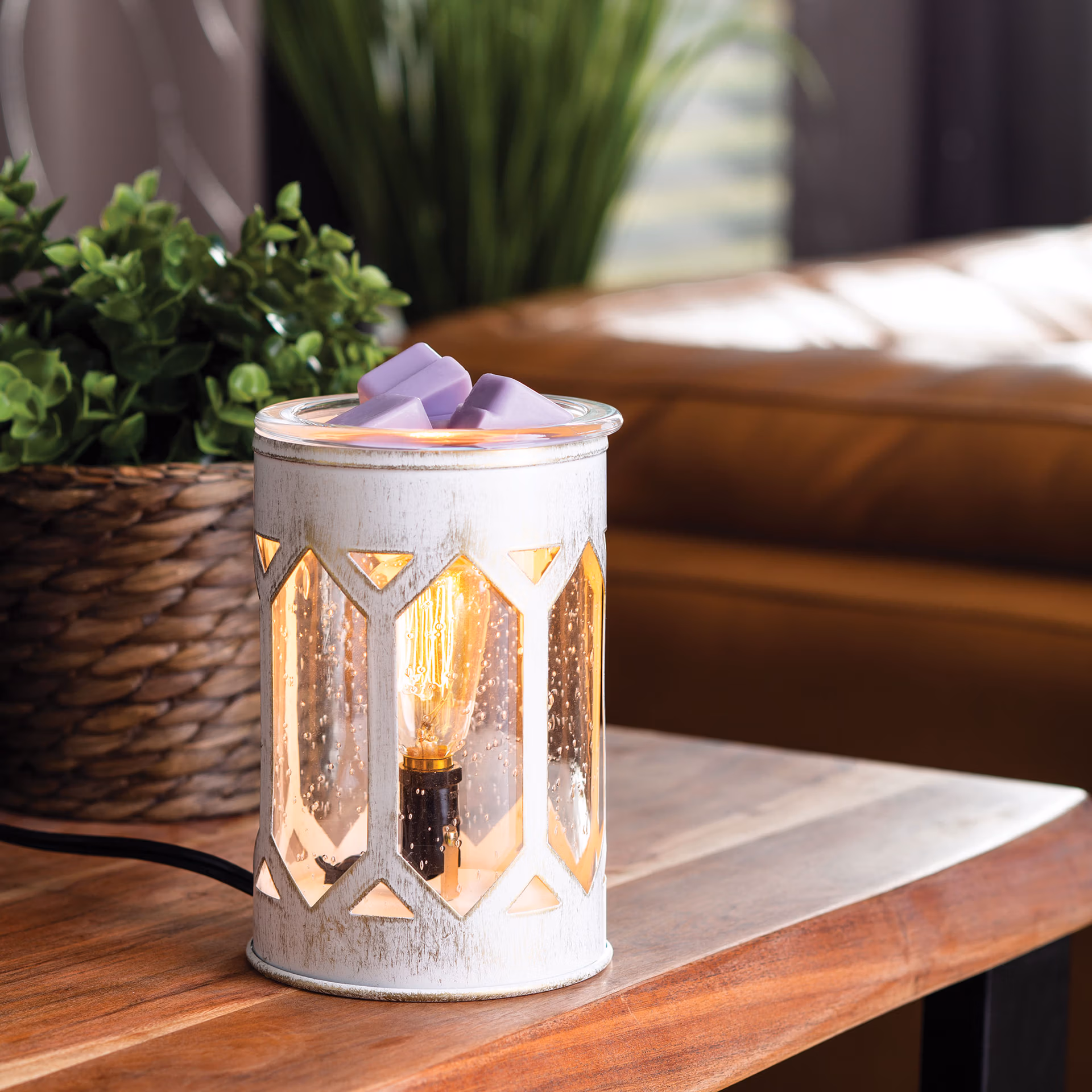 Arbor Vintage Bulb Illumination Fragrance Warmer 3 Arbor Vintage Bulb Illumination Fragrance Warmer 3