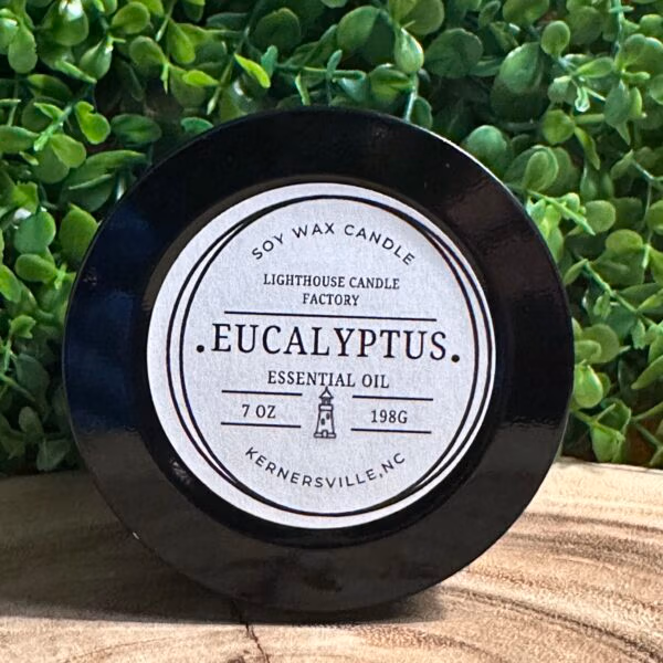 Eucalyptus 7oz Essential Oil Soy Candle