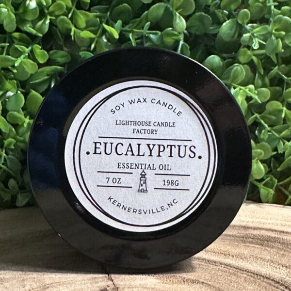 Eucalyptus 7oz Essential Oil Soy Candle