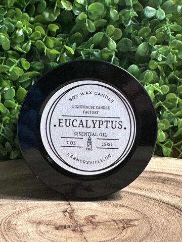Eucalyptus 7oz Essential Oil Soy Candle