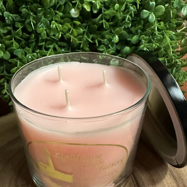 blush 3-wick top