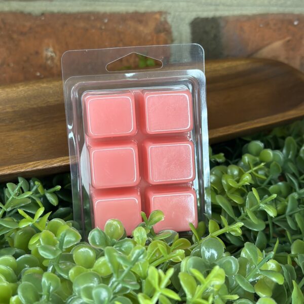 katelyns rose melts back