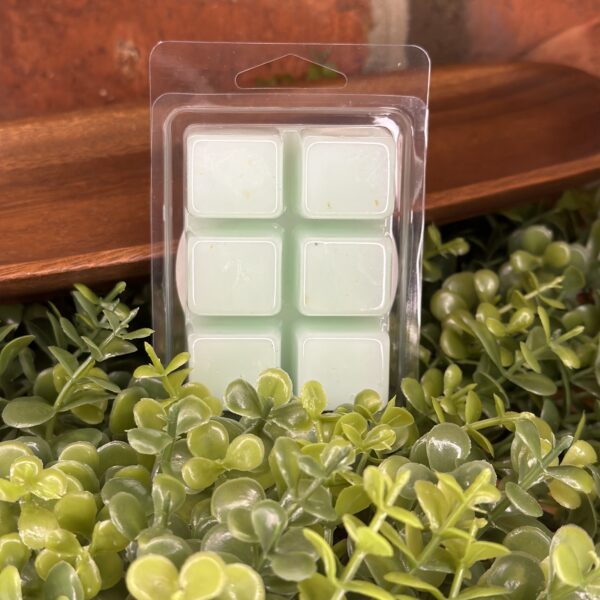 ocean drive melts back