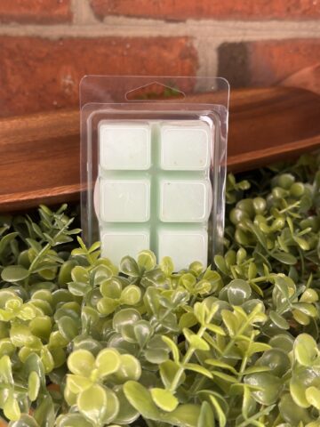 ocean drive melts back