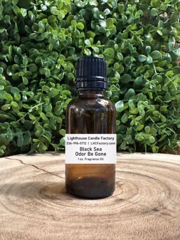 1 oz. Black Sea Odor Be Gone (OBG) fragrance oil by The Lighthouse Candle Factory in an amber glass bottle with a black, tamper-evident dropper cap, set against a greenery background.