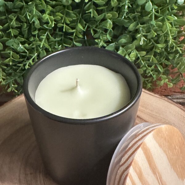 sweet hippie modern tumbler black jar