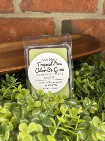 tropical lime n sea salt obg melts front