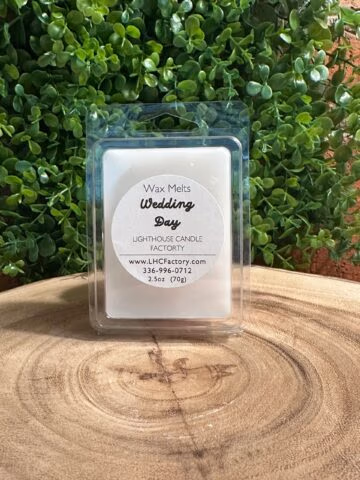 wedding20day20melts.jpg