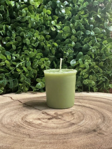 Unlit Bayberry scented candle votive on a wood slice against dense green foliage.