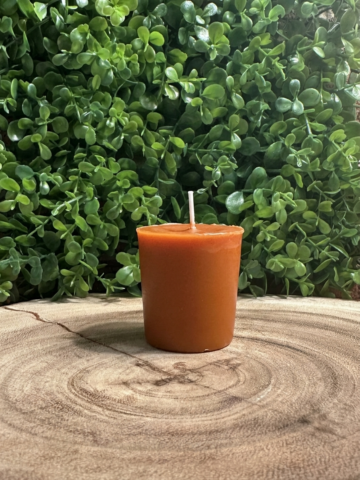 Unlit Pumpkin Chai Candle votive with an upright wick on a wood slice against green foliage.